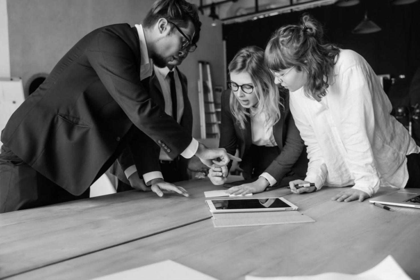 Successful budget automation integration being demonstrated to partner organization